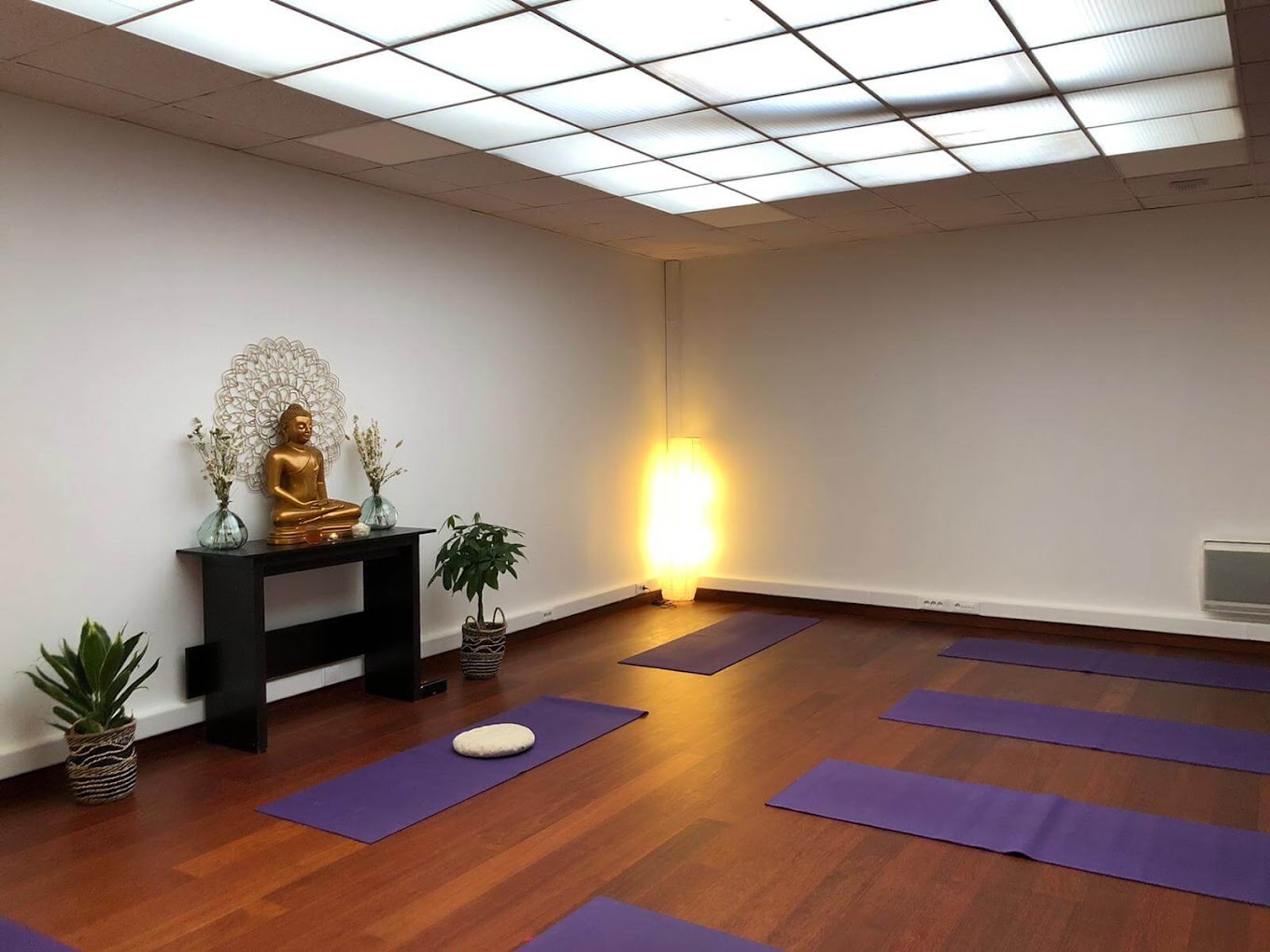 Studio de yoga de 115 à 120 m² à reprendre – Paris 17e – Étoile - Photo 2